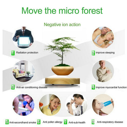 Maglev Potted Creative Home Furnishings