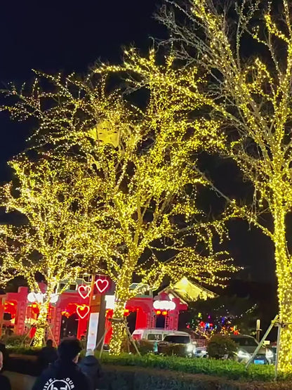 LED string lights, twinkling lights, star lights, solar-powered high-brightness waterproof outdoor decorative ambient lighting strips